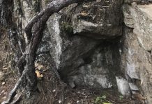 Mudslide – by Janette Kennedy